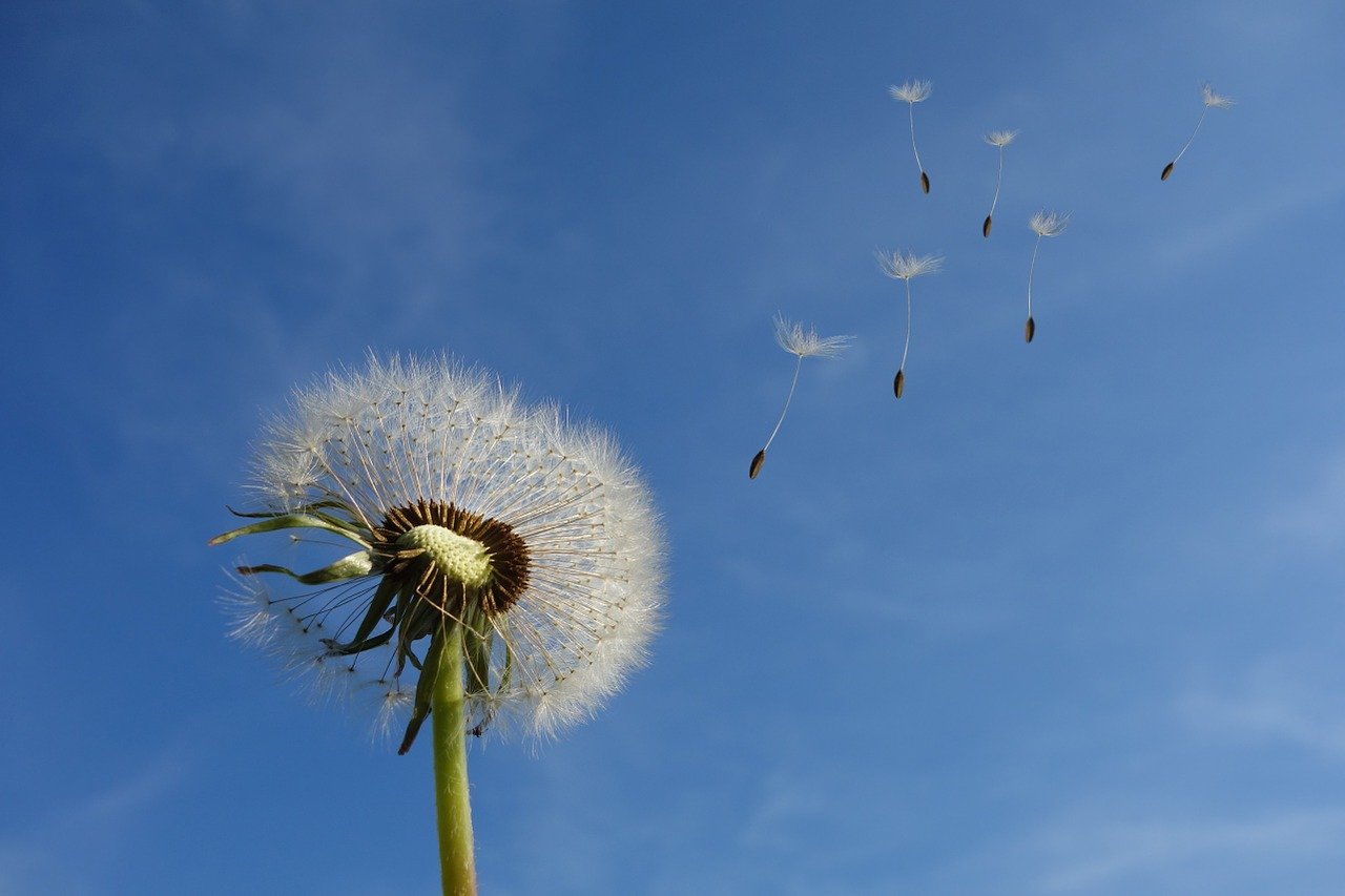 Meteo Molise Aprile: un inizio mese positivo ed una conclusione inaspettata