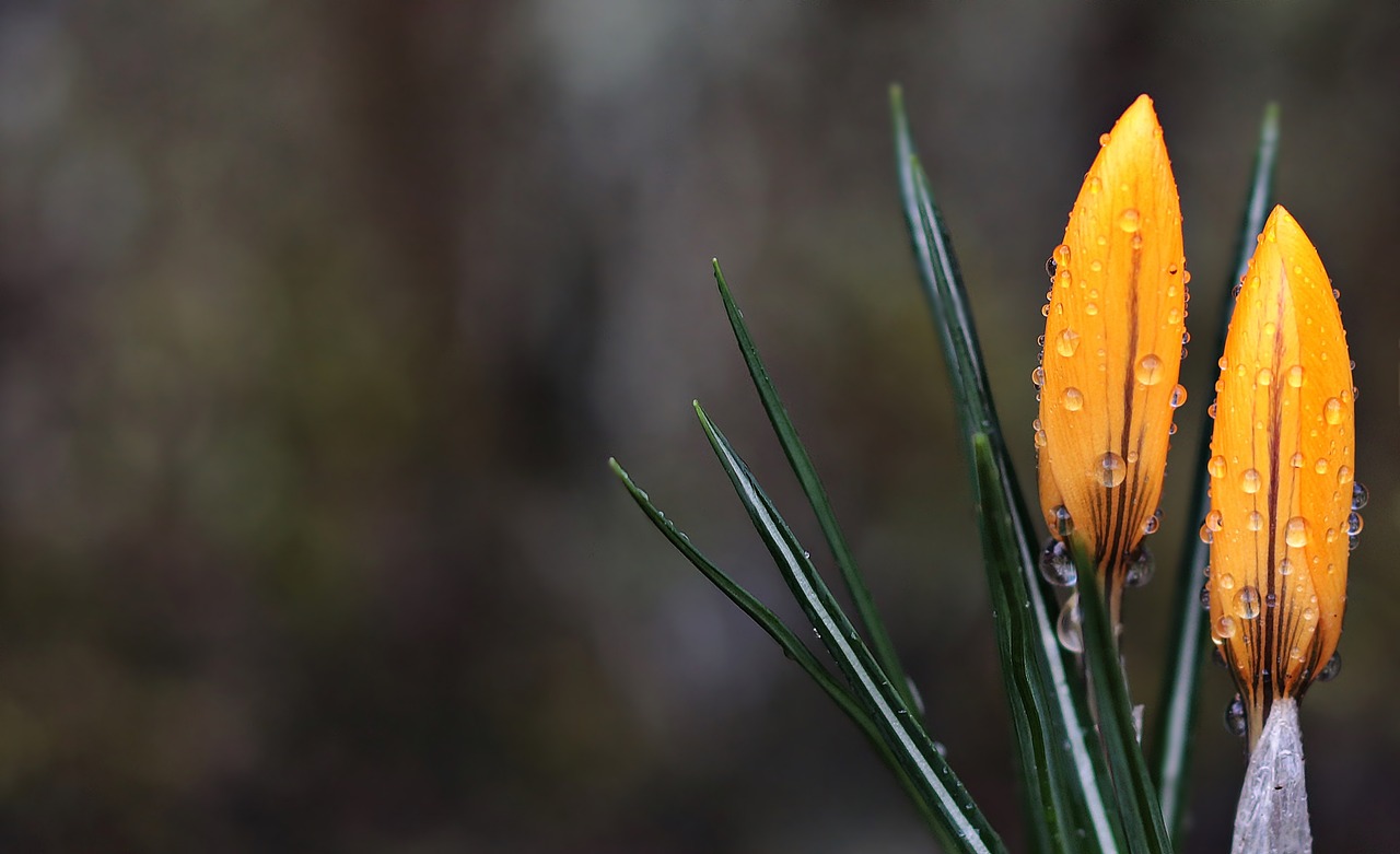 Meteo Molise Marzo: come si concluderà l’inverno?